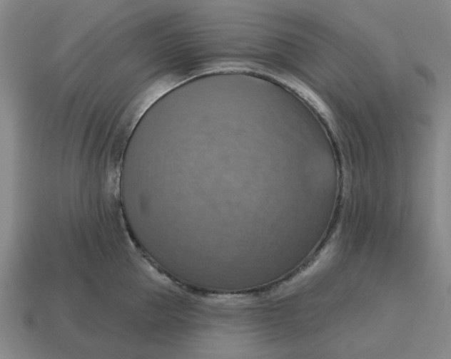 X0000114420953200911061620