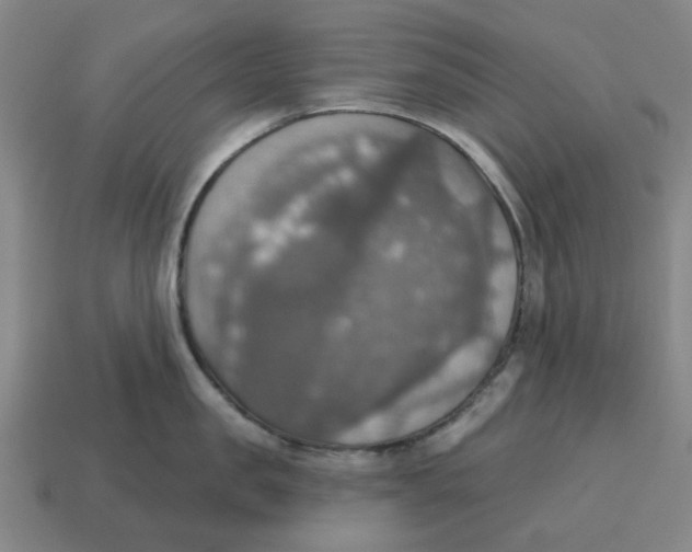 X0000114420957200911061620