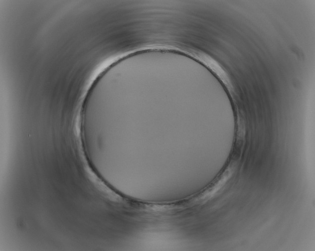 X0000114420958200911061620