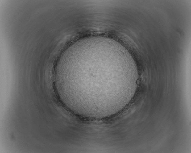 X0000114420961200911061619