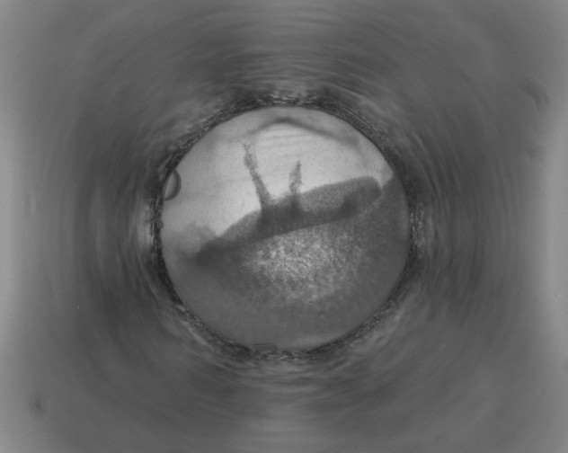 X0000114420962200911061619