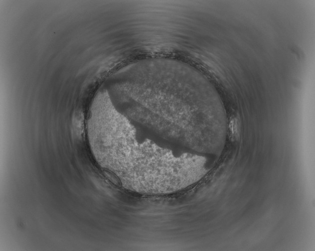 X0000114420963200911061619
