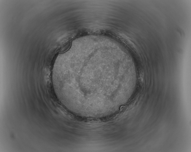 X0000114420964200911061619