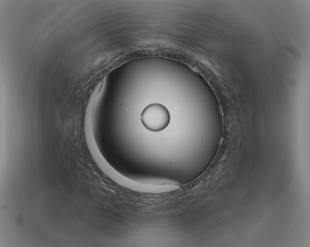 X0000114420965200911061619