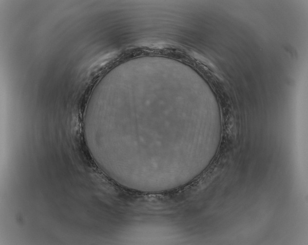 X0000114420966200911061619