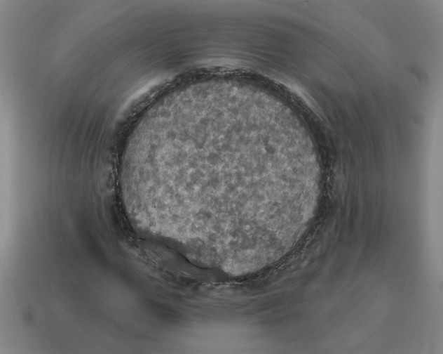 X0000114420967200911061619