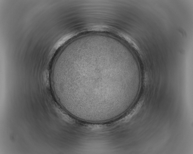 X0000114420970200911061619
