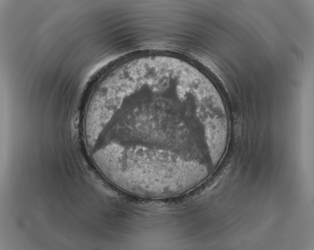 X0000114420971200911061619