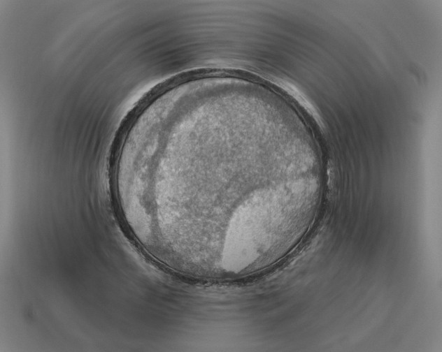 X0000114420972200911061619