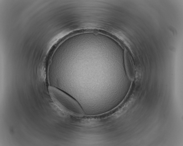 X0000114420973200911061619