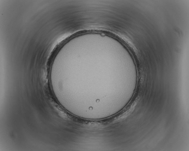 X0000114420974200911061619