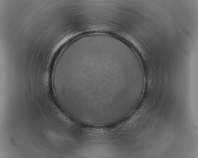 X0000114420975200911061619