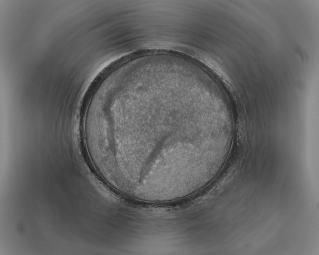 X0000114420976200911061619