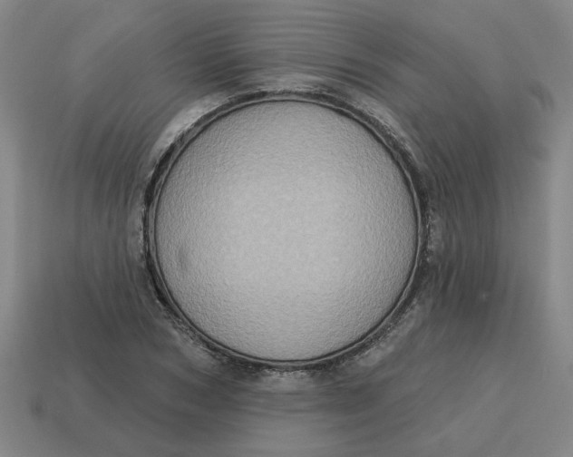 X0000114420978200911061619