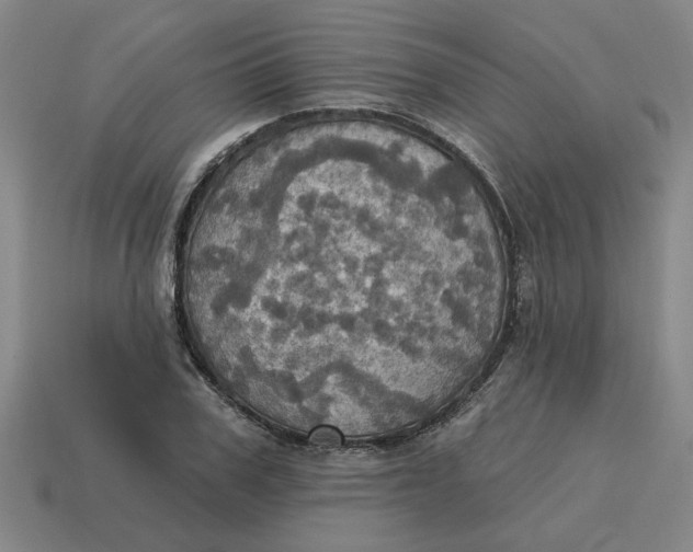 X0000114420979200911061619