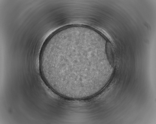 X0000114420980200911061619