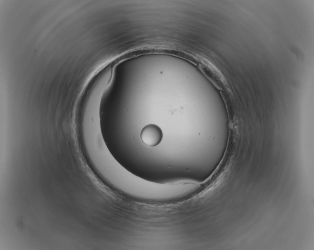 X0000114420981200911061619