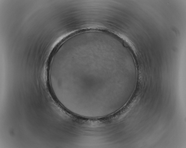 X0000114420983200911061619