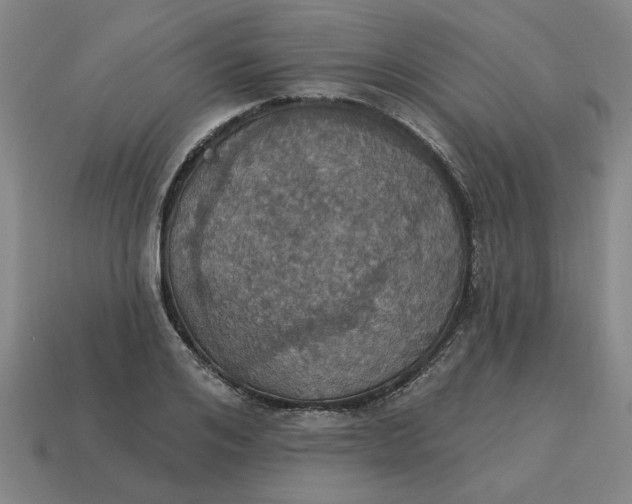X0000114420984200911061619