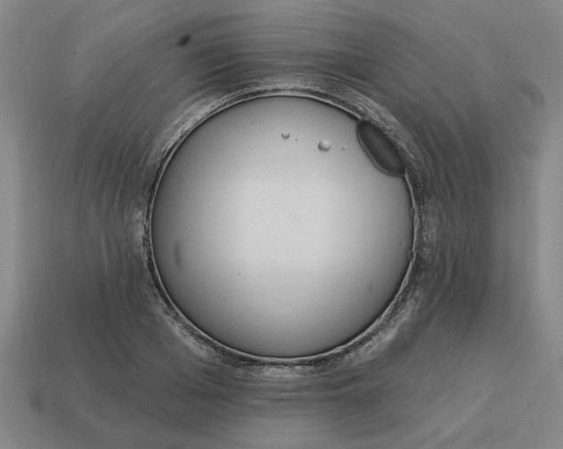 X0000114420985200911061619