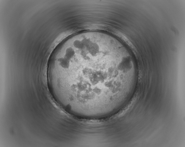 X0000114420986200911061619