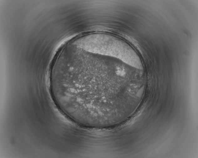 X0000114420987200911061619