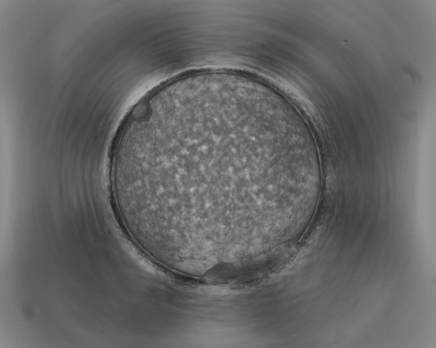 X0000114420990200911061619