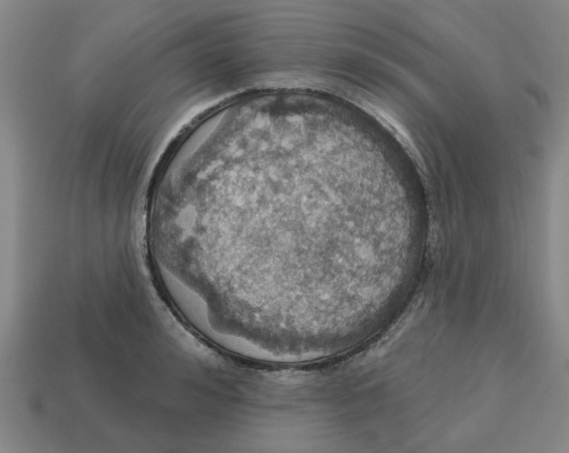 X0000114420992200911061619
