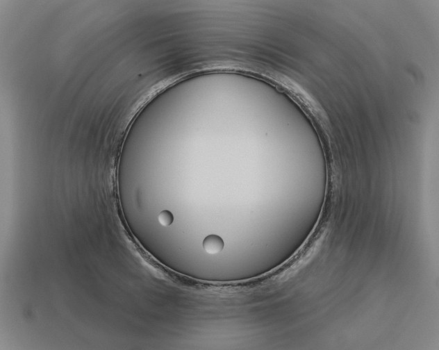 X0000114420993200911061619