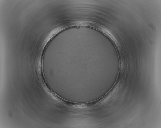 X0000114420994200911061619
