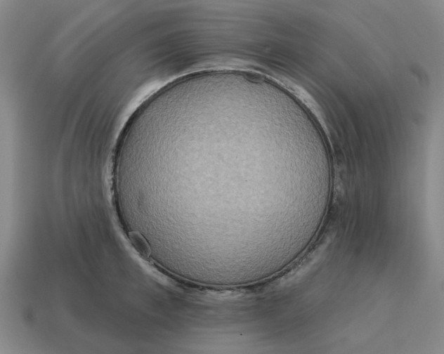 X0000114420997200911061619
