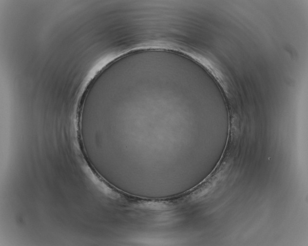 X0000114420998200911061619