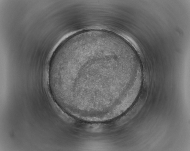 X0000114421000200911061619