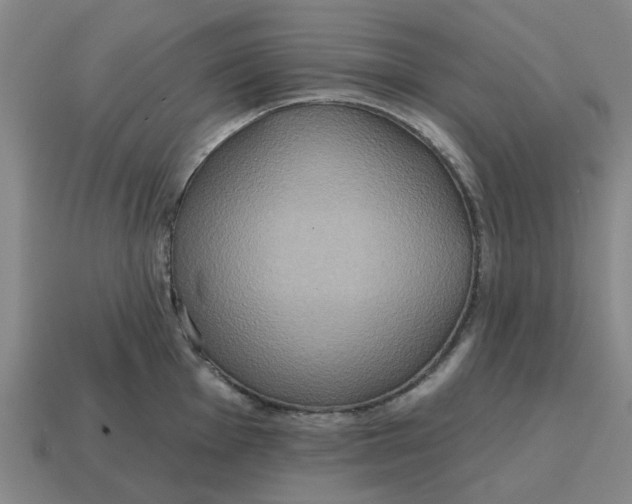 X0000114421001200911061619