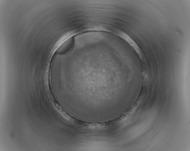 X0000114421002200911061618