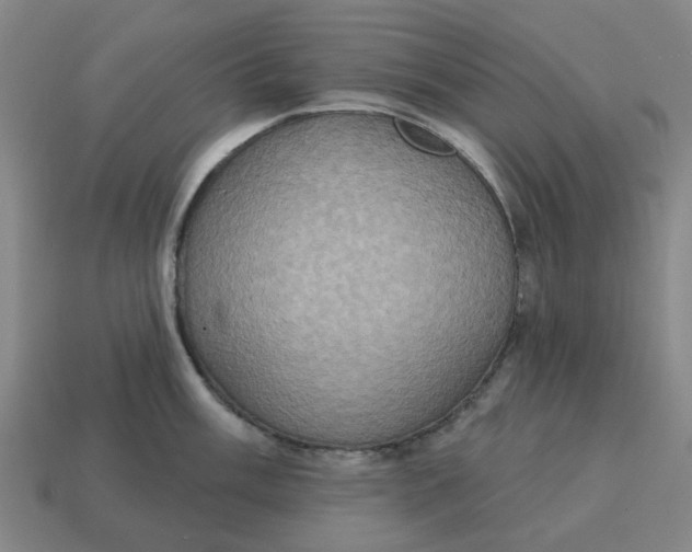 X0000114421003200911061618