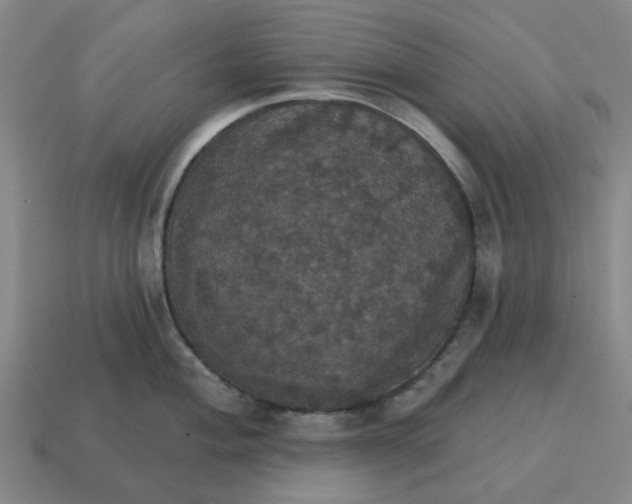 X0000114421004200911061618