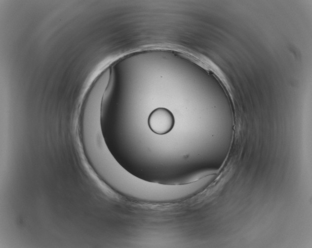 X0000114421005200911061618