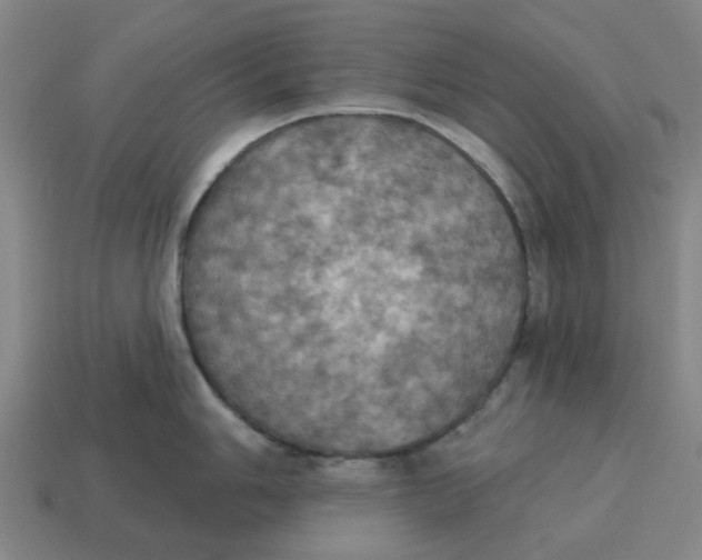 X0000114421006200911061618