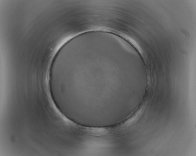 X0000114421007200911061618
