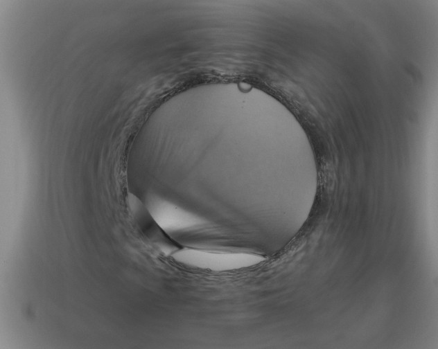X0000114421009200911061618