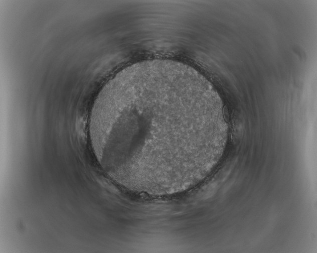 X0000114421010200911061618