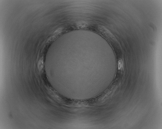 X0000114421011200911061618