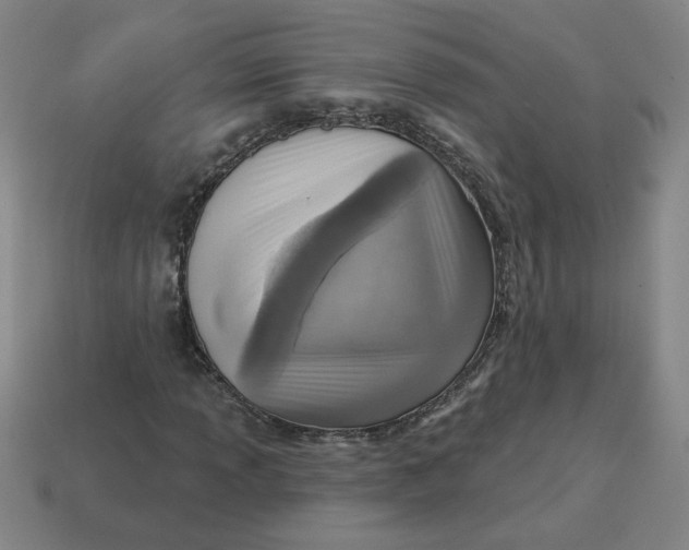 X0000114421013200911061618