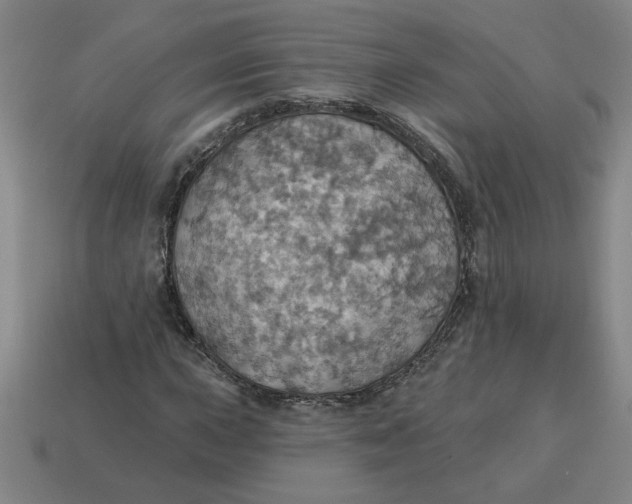 X0000114421015200911061618
