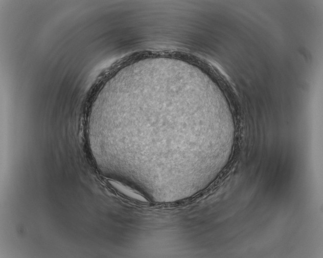 X0000114421016200911061618