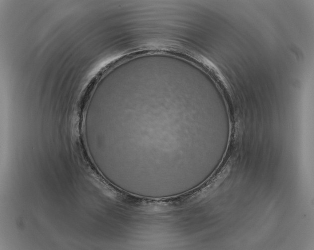 X0000114421019200911061618