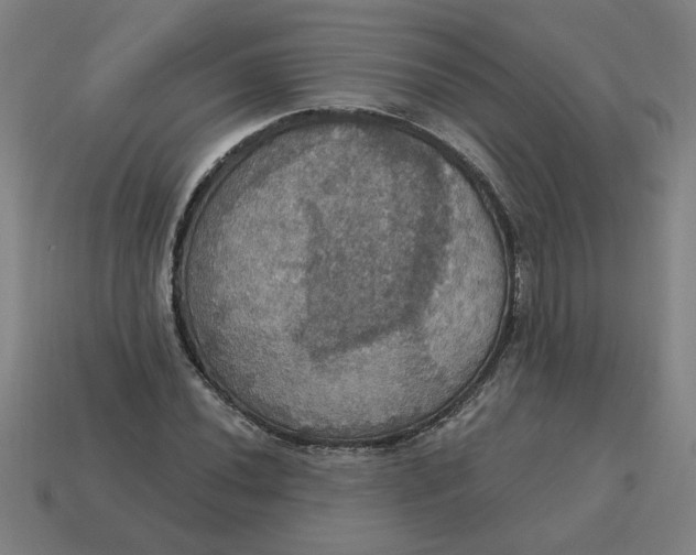 X0000114421020200911061618