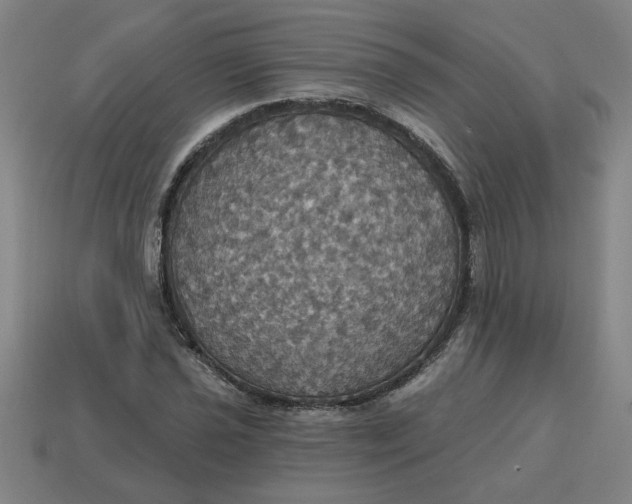 X0000114421021200911061618
