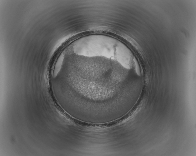 X0000114421022200911061618